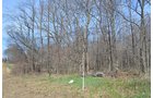 Property photo 127 - REAL ESTATE & PERSONAL PROPERTY AUCTION, 140 Acres offered in 8 Tracts or Combinations in Steuben County